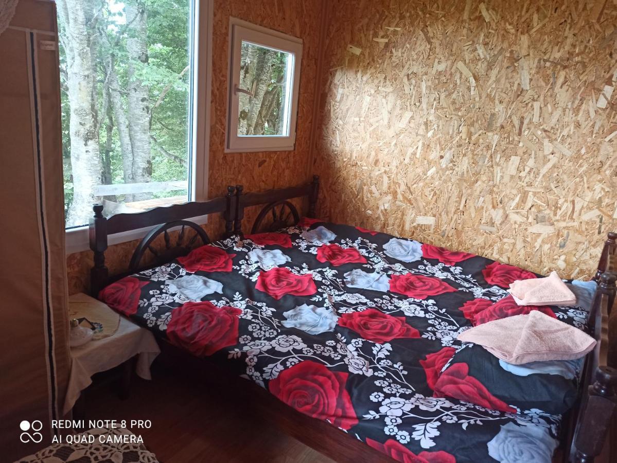 Katun Ljeljenak Hotel Plužine Kültér fotó