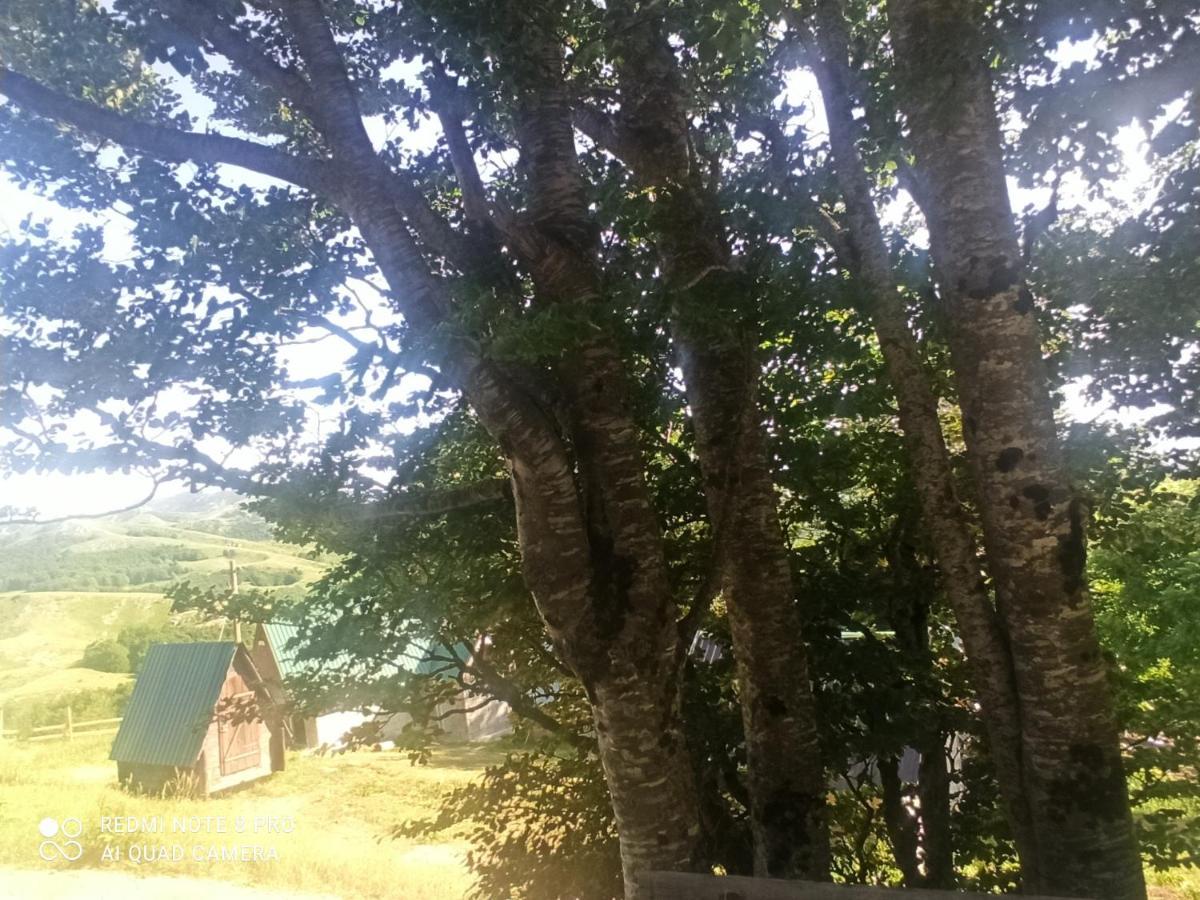Katun Ljeljenak Hotel Plužine Kültér fotó