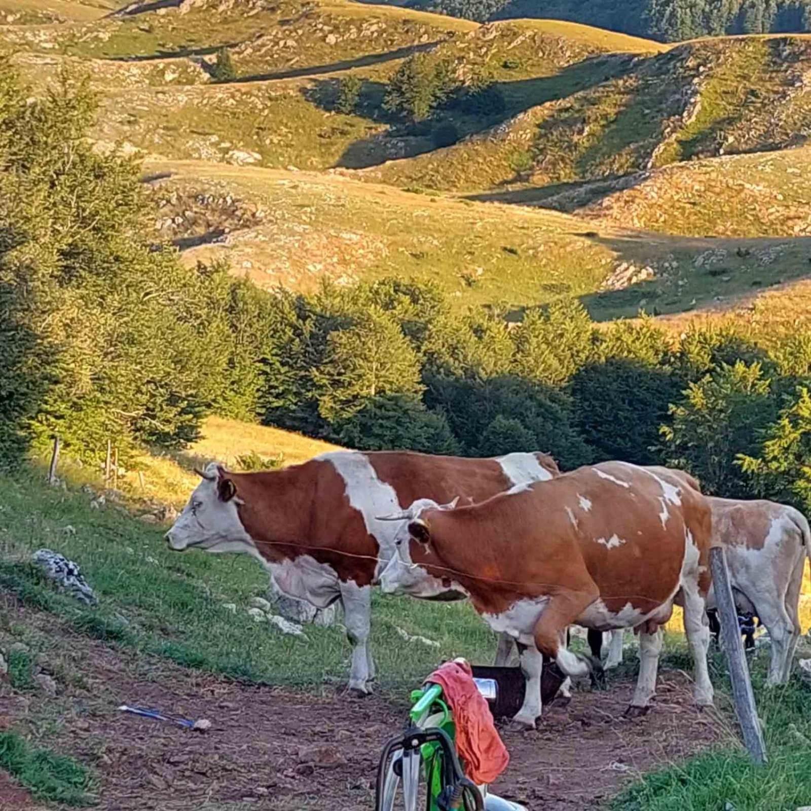 Katun Ljeljenak Hotel Plužine Kültér fotó