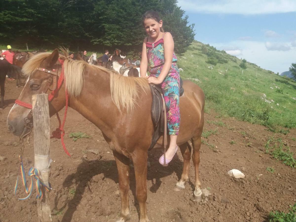Katun Ljeljenak Hotel Plužine Kültér fotó