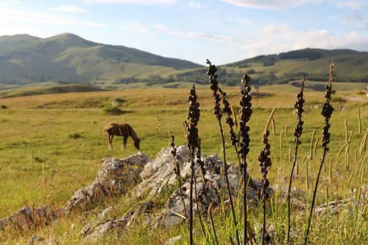 Katun Ljeljenak Hotel Plužine Kültér fotó