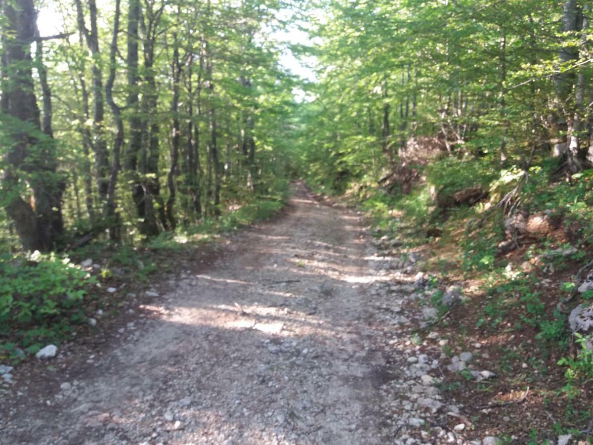 Katun Ljeljenak Hotel Plužine Kültér fotó