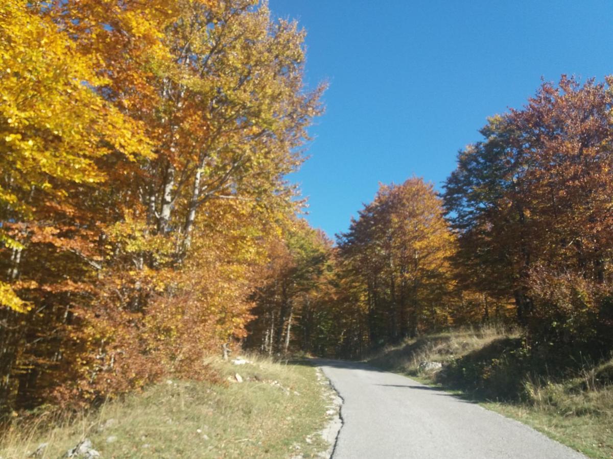Katun Ljeljenak Hotel Plužine Kültér fotó