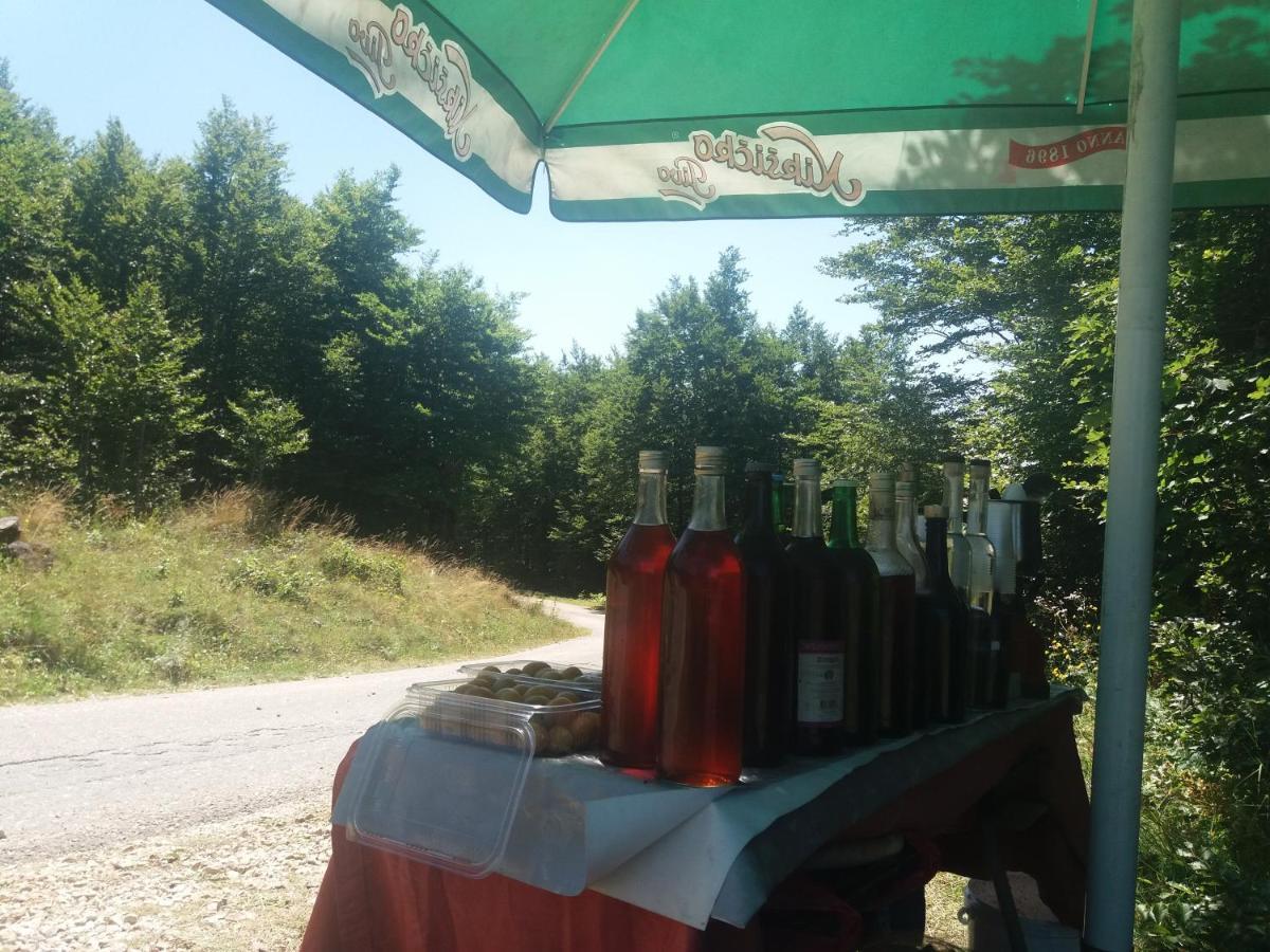Katun Ljeljenak Hotel Plužine Kültér fotó