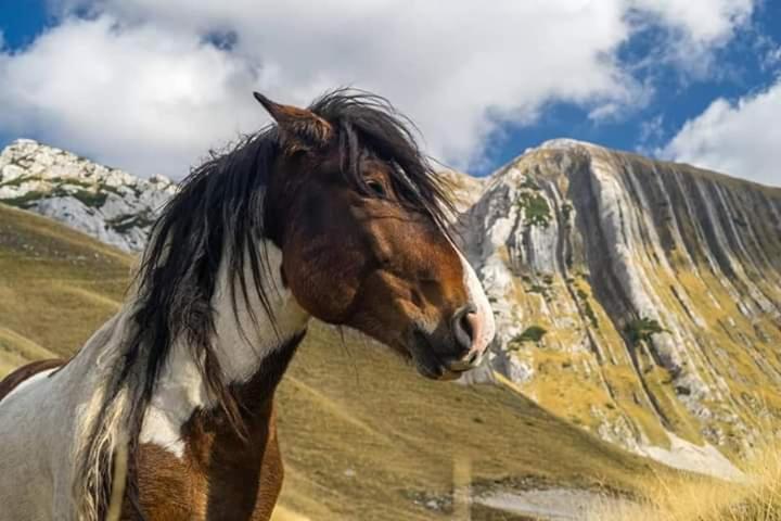 Katun Ljeljenak Hotel Plužine Kültér fotó